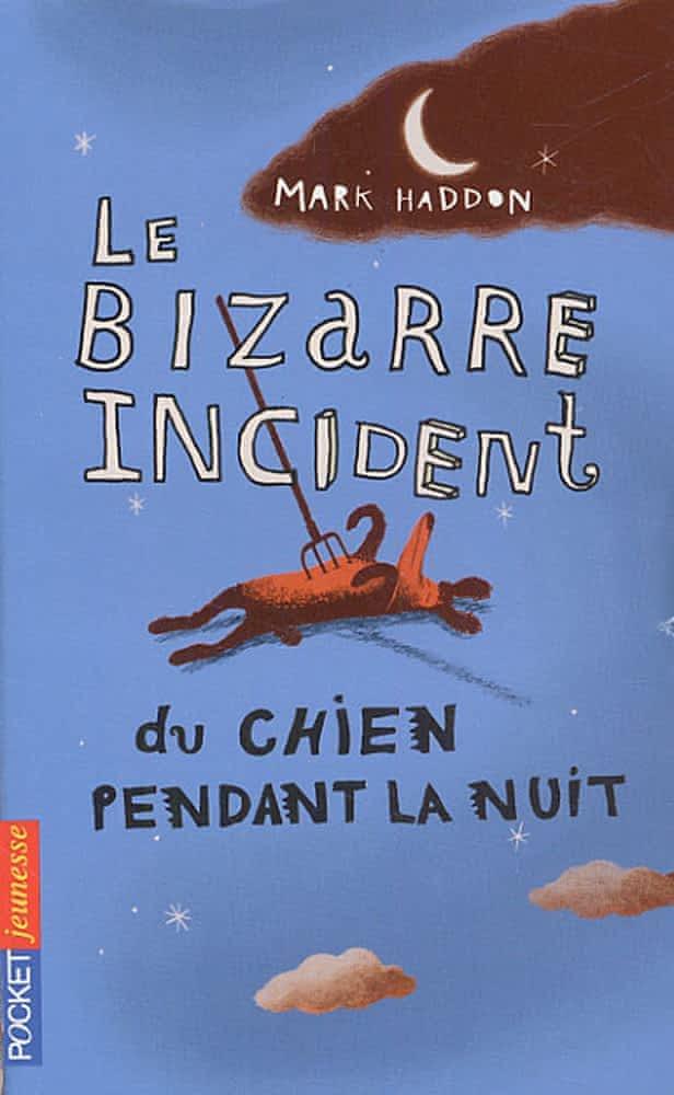 Le bizarre incident du chien pendant la nuit (French language, 2005, Pocket Jeunesse)