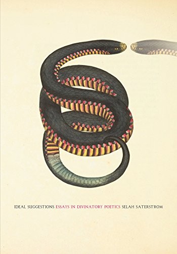 Ideal Suggestions (Paperback, 2017, Essay Press)